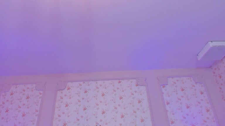 JuneEvanss's Streamate show and profile